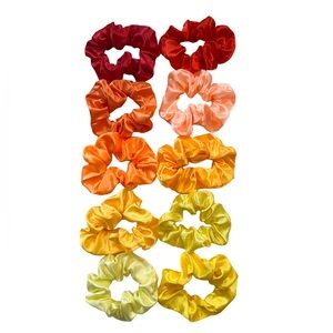 NEW 10 Satin Scrunchies Hair Ties Bundle